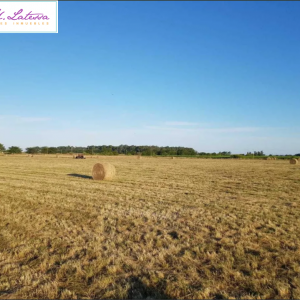Campo en Verónica